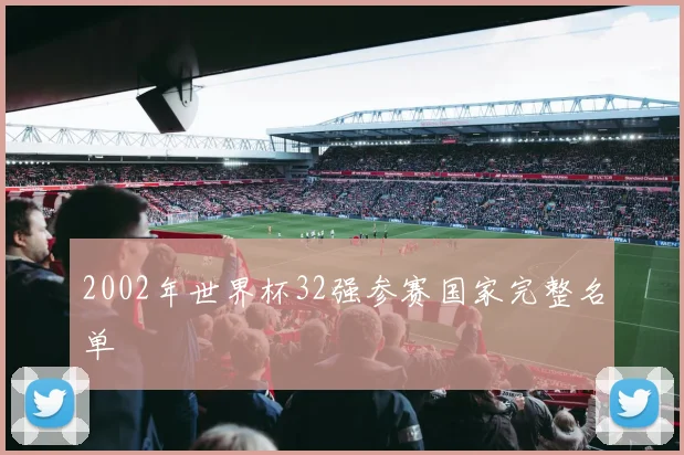 2002年世界杯32强参赛国家完整名单
