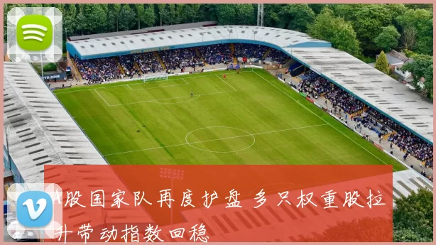 A股国家队再度护盘 多只权重股拉升带动指数回稳