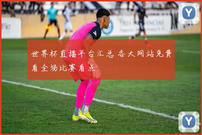 世界杯直播平台汇总 各大网站免费看全场比赛看点