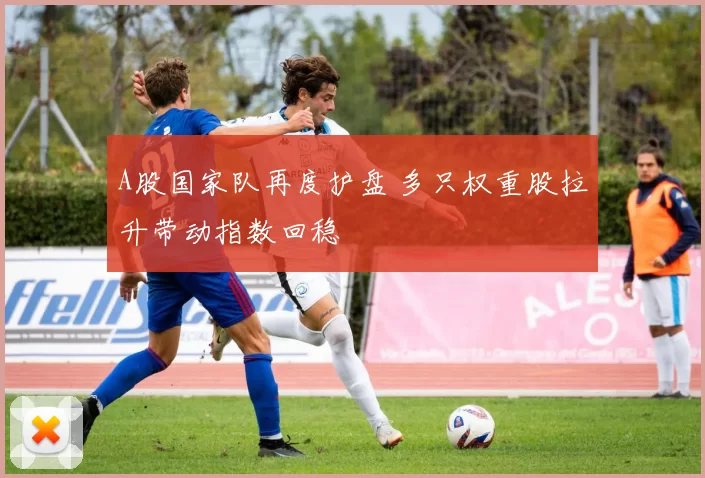 A股国家队再度护盘 多只权重股拉升带动指数回稳