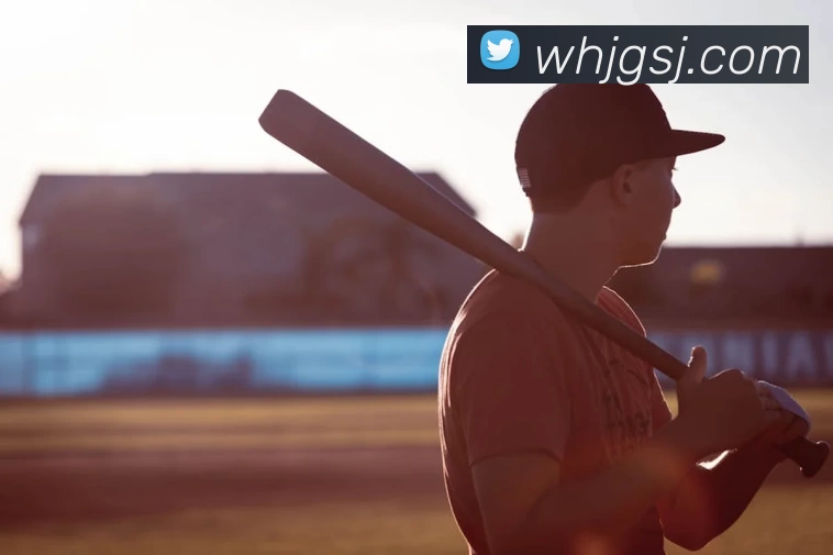 星空体育官方网站入口发展历程